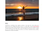 write healthy lifestyle blog posts and articles